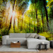 Photo Wallpaper Forest Hideout 98142