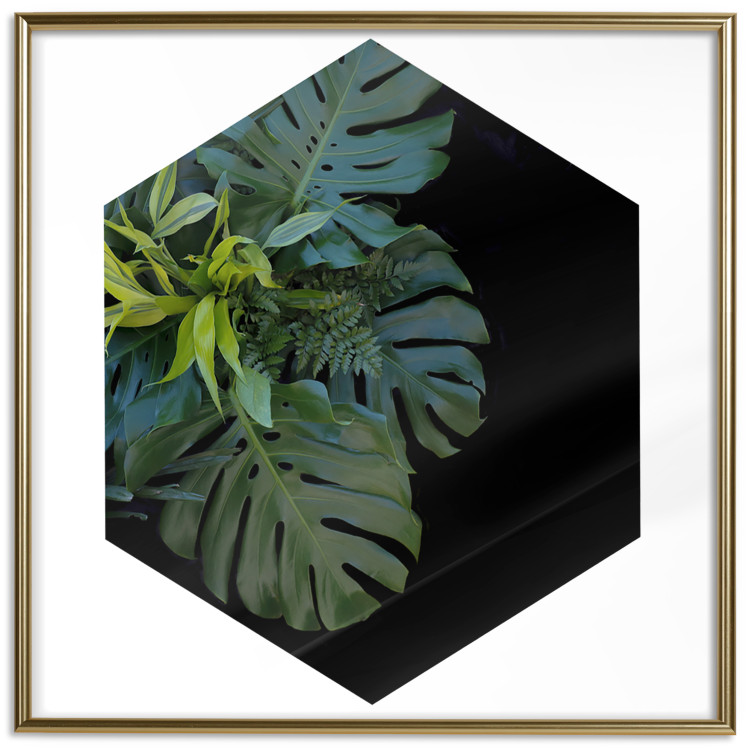 Wall Poster Plant hexagon (square) - geometric abstraction with leaves 114352 additionalImage 16