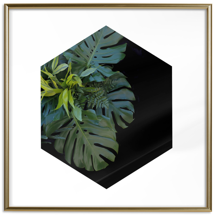 Wall Poster Plant hexagon (square) - geometric abstraction with leaves 114352 additionalImage 14