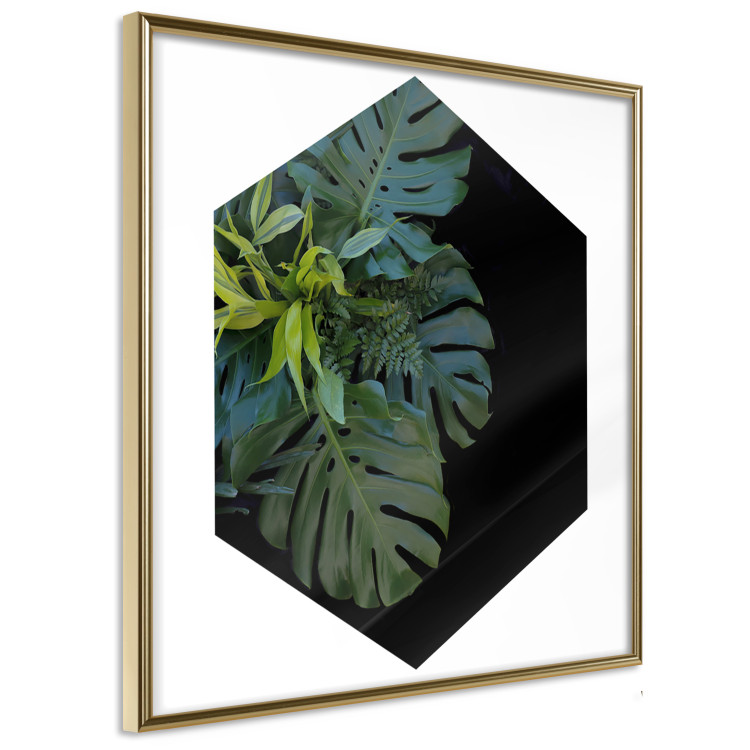 Wall Poster Plant hexagon (square) - geometric abstraction with leaves 114352 additionalImage 12