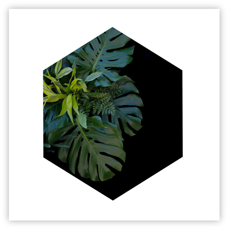 Wall Poster Plant hexagon (square) - geometric abstraction with leaves 114352 additionalImage 19