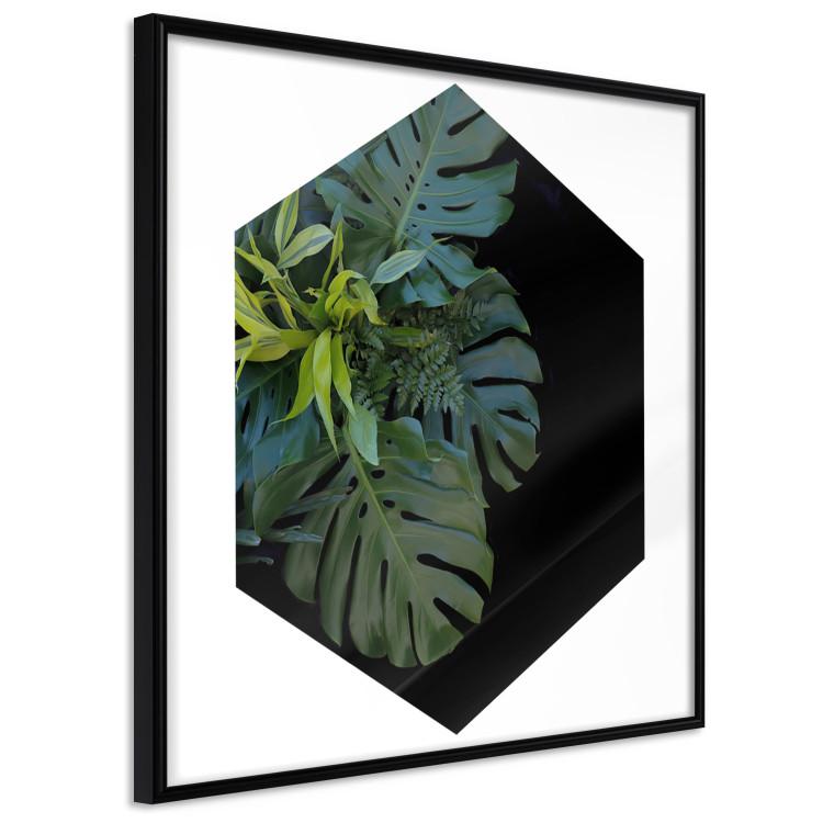 Wall Poster Plant hexagon (square) - geometric abstraction with leaves 114352 additionalImage 10