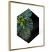 Wall Poster Plant hexagon (square) - geometric abstraction with leaves 114352 additionalThumb 6