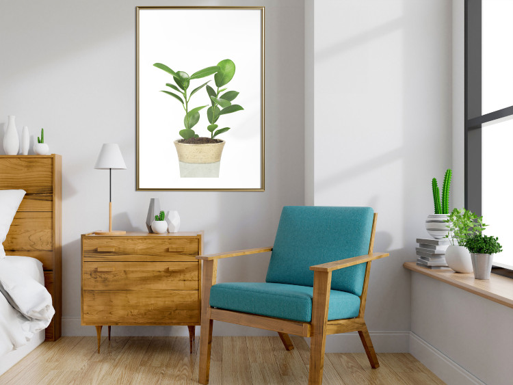 Wall Poster Potted Plant - composition with green leaves on a solid background 116652 additionalImage 15