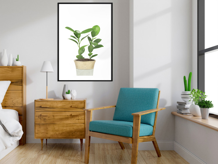 Wall Poster Potted Plant - composition with green leaves on a solid background 116652 additionalImage 4