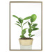 Wall Poster Potted Plant - composition with green leaves on a solid background 116652 additionalThumb 16