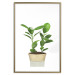 Wall Poster Potted Plant - composition with green leaves on a solid background 116652 additionalThumb 16