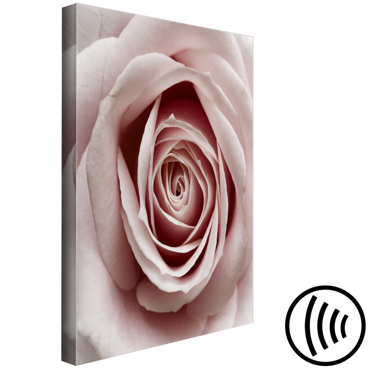 Canvas Print Pink Charm (1-part) - Blooming Rose in Pastel Shade 117152 additionalImage 6