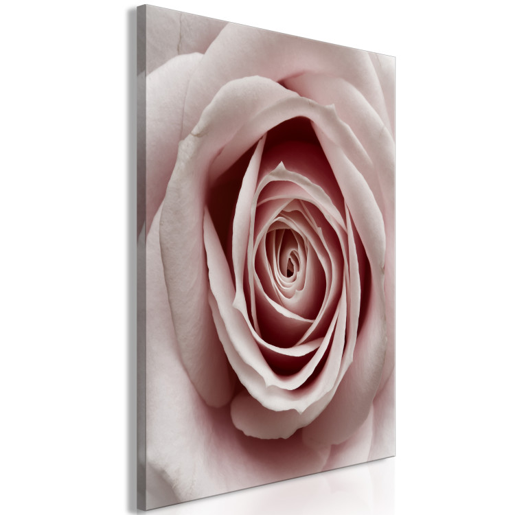 Canvas Print Pink Charm (1-part) - Blooming Rose in Pastel Shade 117152 additionalImage 2