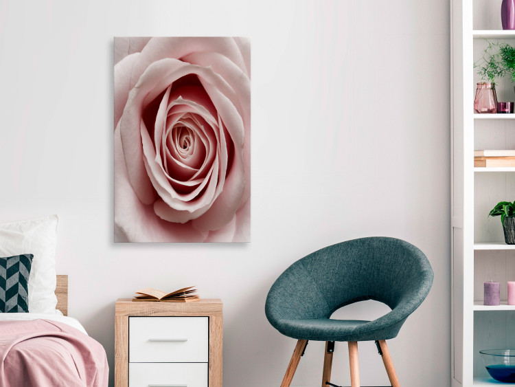 Canvas Print Pink Charm (1-part) - Blooming Rose in Pastel Shade 117152 additionalImage 3