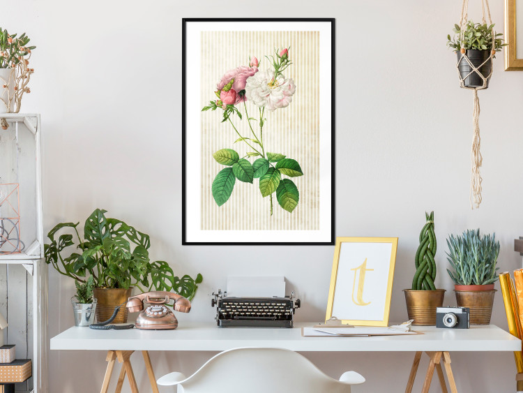 Poster Floral Chic - colorful composition with flowers and beige stripes in the background 117352 additionalImage 4