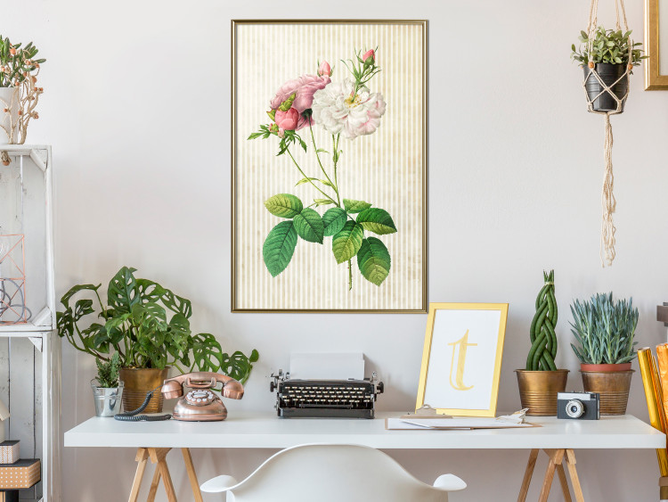 Poster Floral Chic - colorful composition with flowers and beige stripes in the background 117352 additionalImage 7
