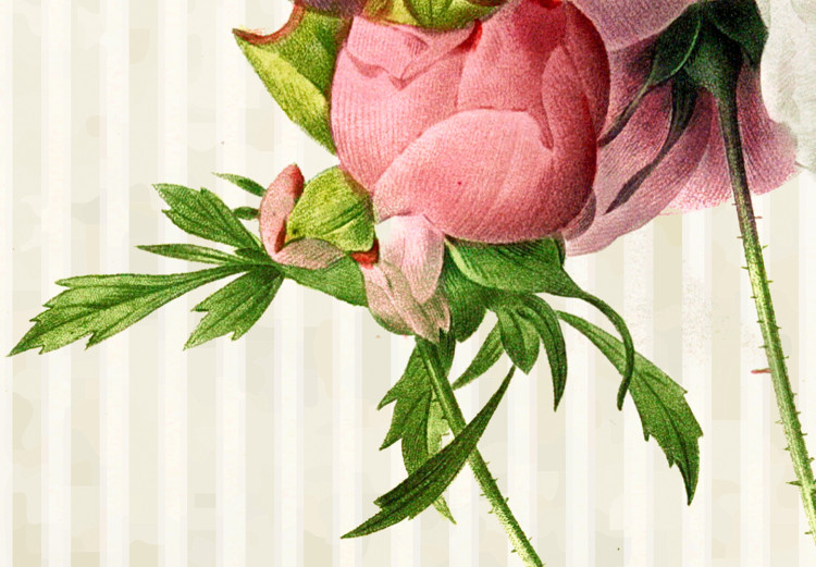 Poster Floral Chic - colorful composition with flowers and beige stripes in the background 117352 additionalImage 9