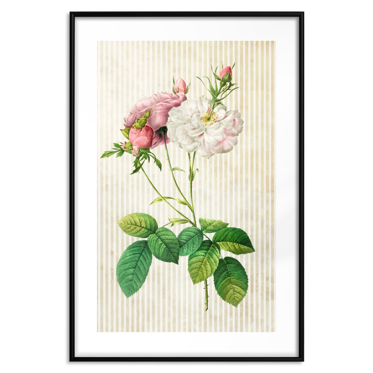 Poster Floral Chic - colorful composition with flowers and beige stripes in the background 117352 additionalImage 17