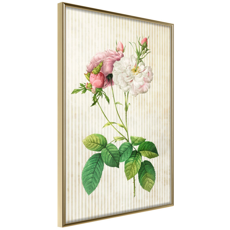 Poster Floral Chic - colorful composition with flowers and beige stripes in the background 117352 additionalImage 14