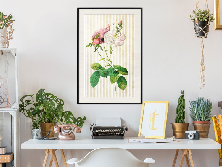 Poster Floral Chic - colorful composition with flowers and beige stripes in the background 117352 additionalImage 22