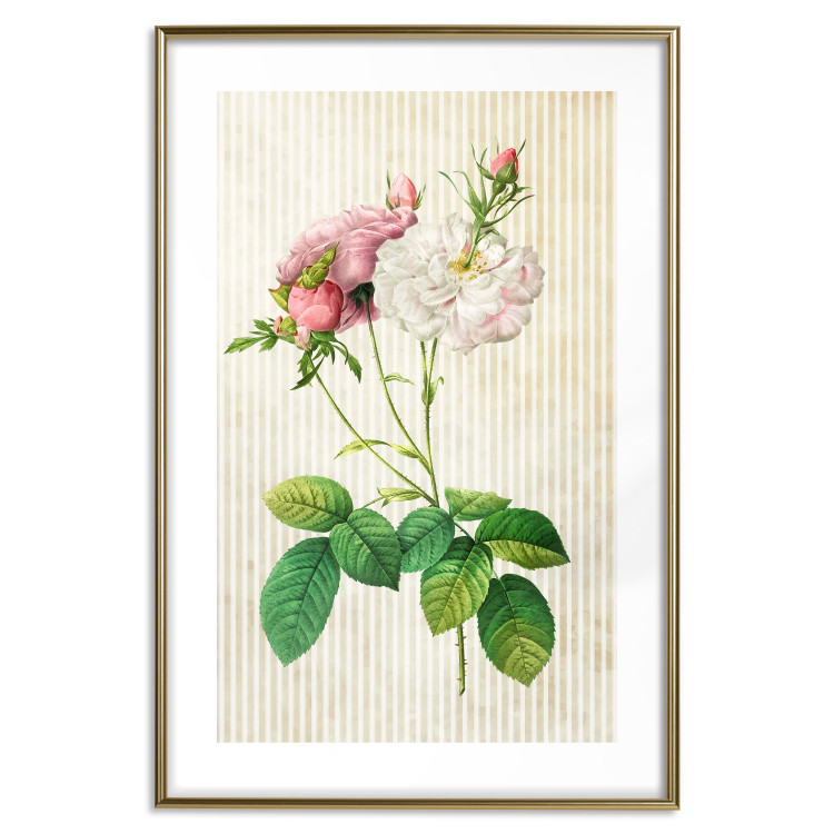 Poster Floral Chic - colorful composition with flowers and beige stripes in the background 117352 additionalImage 16