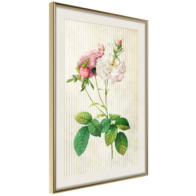 Poster Floral Chic - colorful composition with flowers and beige stripes in the background 117352 additionalImage 2