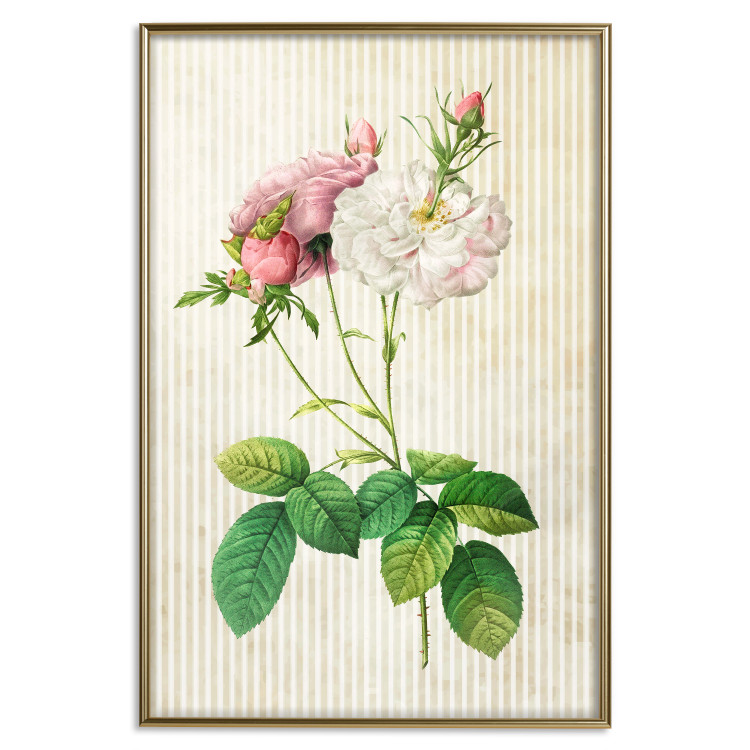 Poster Floral Chic - colorful composition with flowers and beige stripes in the background 117352 additionalImage 20