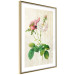 Poster Floral Chic - colorful composition with flowers and beige stripes in the background 117352 additionalThumb 8