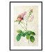 Poster Floral Chic - colorful composition with flowers and beige stripes in the background 117352 additionalThumb 17