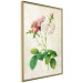 Poster Floral Chic - colorful composition with flowers and beige stripes in the background 117352 additionalThumb 12