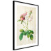 Poster Floral Chic - colorful composition with flowers and beige stripes in the background 117352 additionalThumb 13
