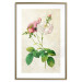 Poster Floral Chic - colorful composition with flowers and beige stripes in the background 117352 additionalThumb 16
