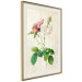 Poster Floral Chic - colorful composition with flowers and beige stripes in the background 117352 additionalThumb 2