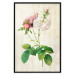 Poster Floral Chic - colorful composition with flowers and beige stripes in the background 117352 additionalThumb 24