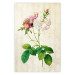 Poster Floral Chic - colorful composition with flowers and beige stripes in the background 117352