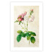 Poster Floral Chic - colorful composition with flowers and beige stripes in the background 117352 additionalThumb 19
