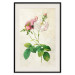 Poster Floral Chic - colorful composition with flowers and beige stripes in the background 117352 additionalThumb 18
