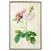 Poster Floral Chic - colorful composition with flowers and beige stripes in the background 117352 additionalThumb 20