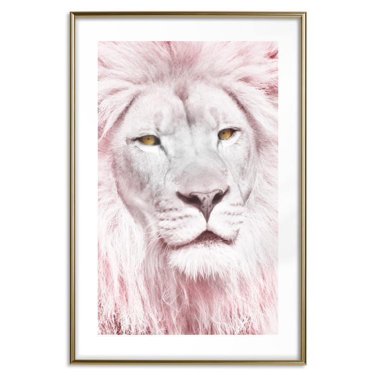 Wall Poster Beauty in Strength - reddened white lion portrait with yellow eyes 123052 additionalImage 14