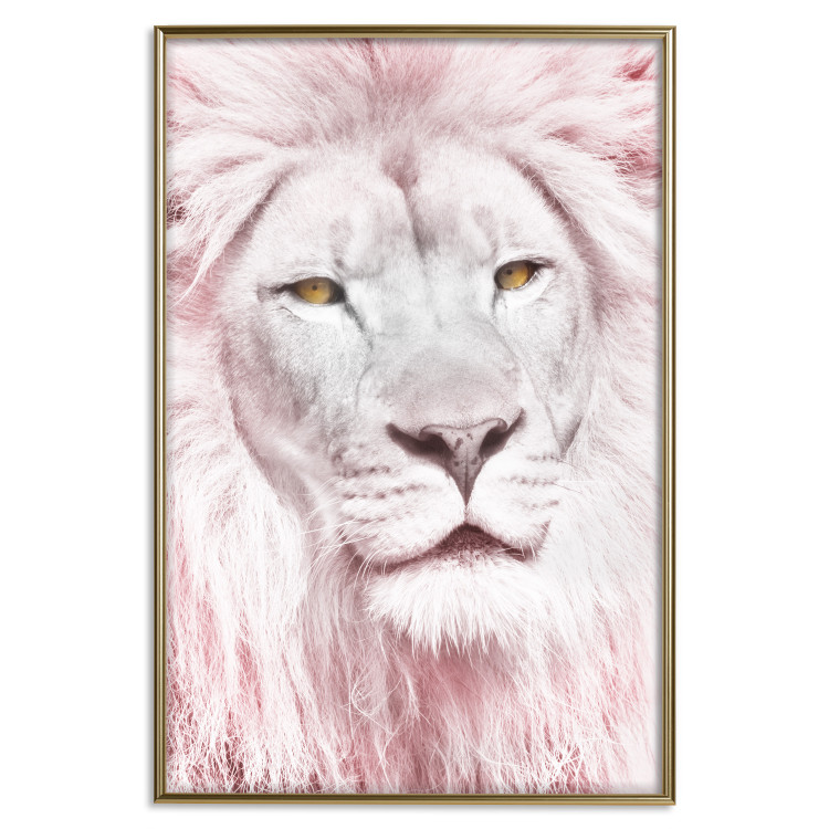 Wall Poster Beauty in Strength - reddened white lion portrait with yellow eyes 123052 additionalImage 16