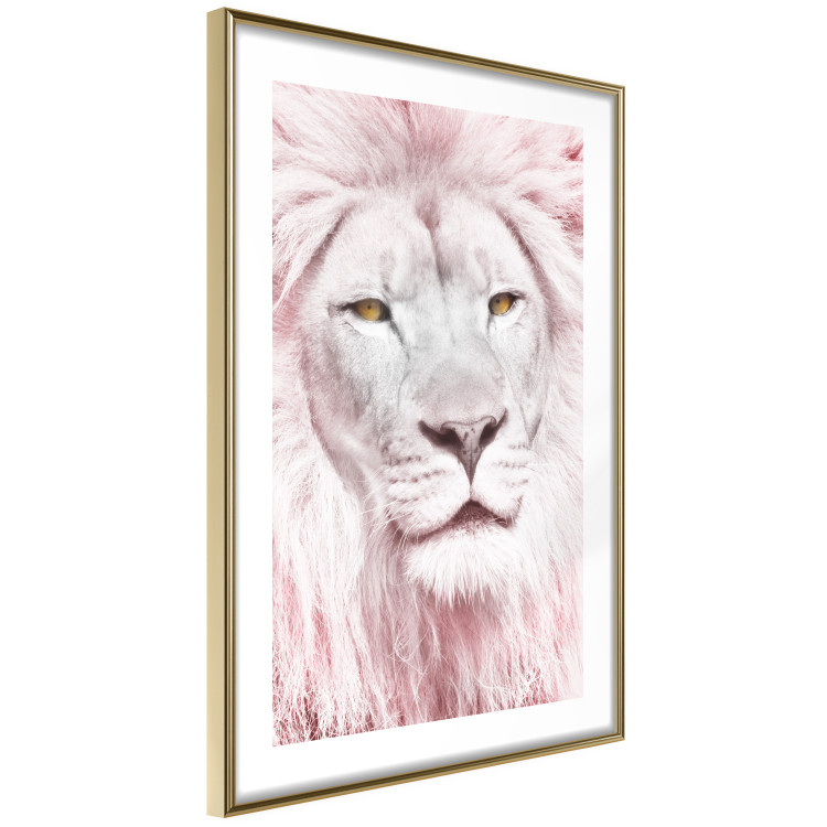 Wall Poster Beauty in Strength - reddened white lion portrait with yellow eyes 123052 additionalImage 4
