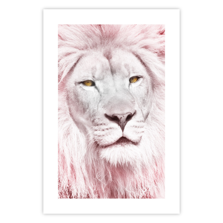 Wall Poster Beauty in Strength - reddened white lion portrait with yellow eyes 123052 additionalImage 19