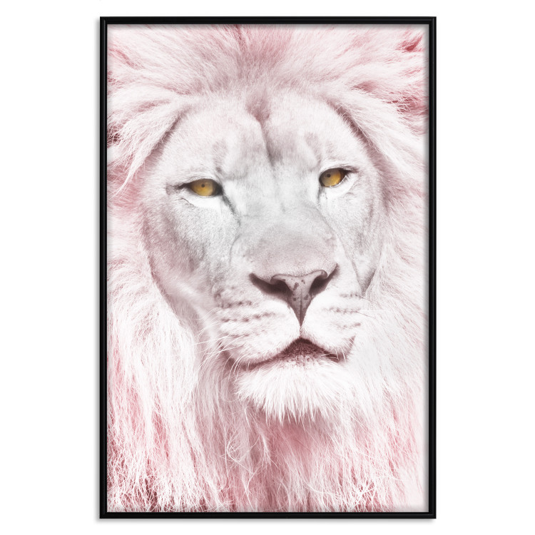 Wall Poster Beauty in Strength - reddened white lion portrait with yellow eyes 123052 additionalImage 18