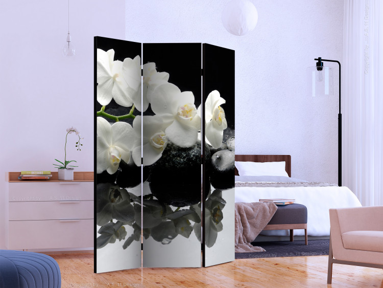 Room Divider Screen Spa, Stones and Orchid [Room Dividers] 124252 additionalImage 2