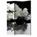Room Divider Screen Spa, Stones and Orchid [Room Dividers] 124252
