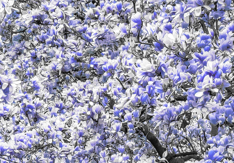 Large canvas print Magnolia Park - Violet II [Large Format] 128752 additionalImage 4