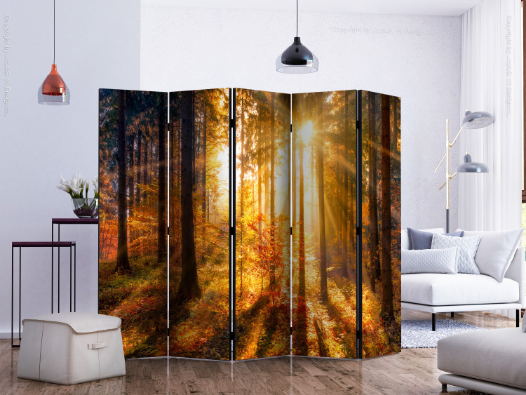Room Separator Awakening of Autumn II (5-piece) - sunny landscape in the middle of the forest 132552 additionalImage 2