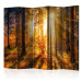 Room Separator Awakening of Autumn II (5-piece) - sunny landscape in the middle of the forest 132552