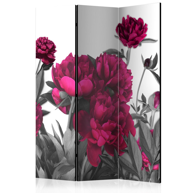Room Separator Luxuriant meadow (3-piece) - pink peonies and meadow in shades of gray 132652