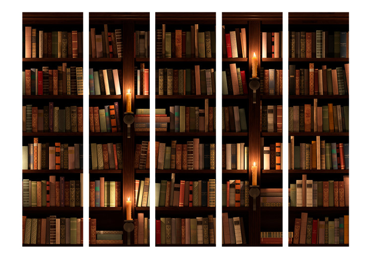 Room Divider Bookshelves II (5-piece) - dark composition with literature 132852 additionalImage 3