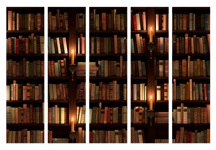 Room Divider Bookshelves II (5-piece) - dark composition with literature 132852 additionalImage 7