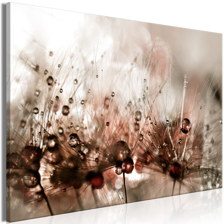 Large canvas print Dandelions After Rain [Large Format] 136352 additionalImage 2