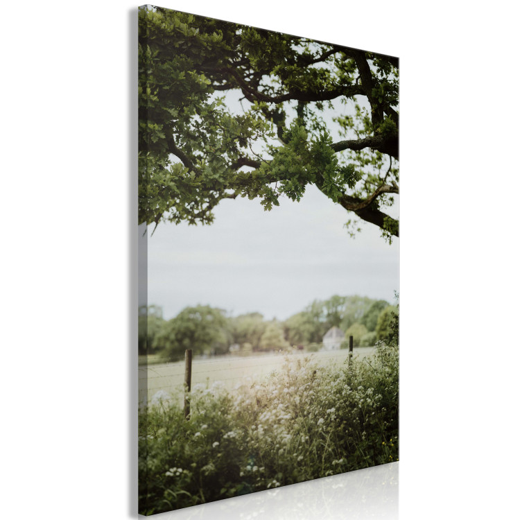 Canvas Print The Sun on the Meadow - Summer Landscape of Dense Vegetation 150052 additionalImage 2