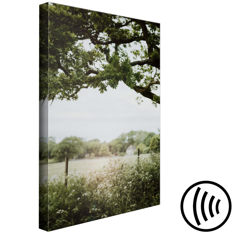 Canvas Print The Sun on the Meadow - Summer Landscape of Dense Vegetation 150052 additionalImage 6
